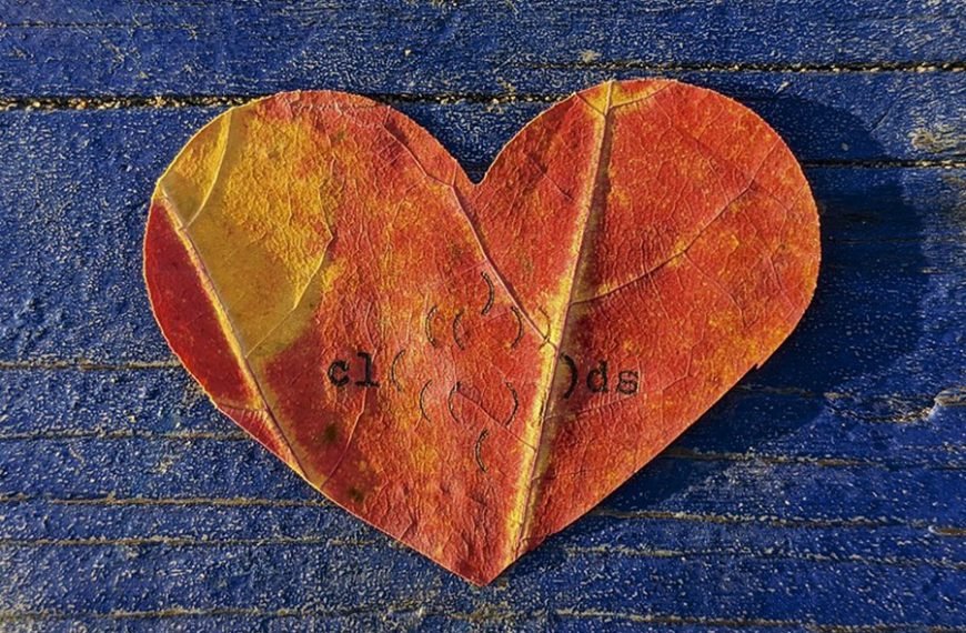 The Theory of Visceral Activities