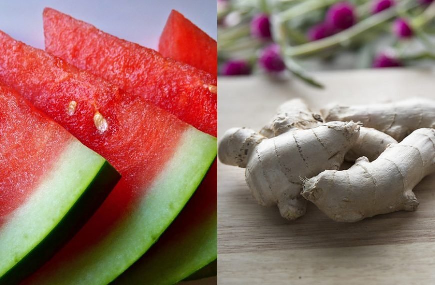 The four characteristics and five flavors of food