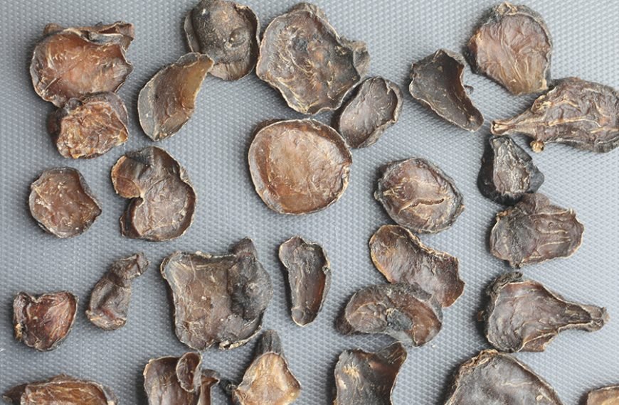 Pocessed Radix&nbsp; Aconiti Lateralis&nbsp;Preparata(Processed Fu Zi)