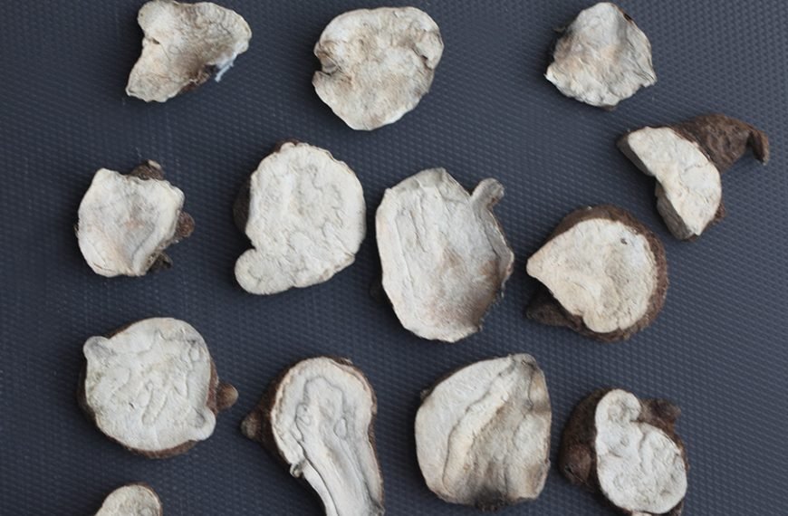 Radix&nbsp; Aconiti&nbsp;&nbsp;Lateralis&nbsp;Preparata ( Raw Fu Zi)